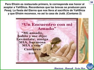 Ministerio Menorah Costa Rica
34
Pero Efraím es restaurado primero, le corresponde ese honor al
aceptar a YaHShúa. Recordemos que las brevas se producen para
Pesaj. La fiesta del Eterno que nos lleva al sacrificio de YaHShúa
y que Efraím reconoce, no así la casa de Judá. (Cantares 2)
 