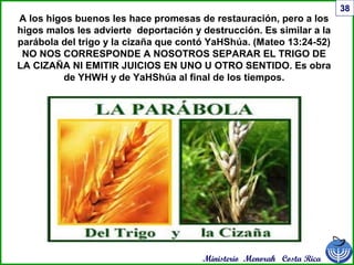 Ministerio Menorah Costa Rica
38
A los higos buenos les hace promesas de restauración, pero a los
higos malos les advierte deportación y destrucción. Es similar a la
parábola del trigo y la cizaña que contó YaHShúa. (Mateo 13:24-52)
NO NOS CORRESPONDE A NOSOTROS SEPARAR EL TRIGO DE
LA CIZAÑA NI EMITIR JUICIOS EN UNO U OTRO SENTIDO. Es obra
de YHWH y de YaHShúa al final de los tiempos.
 