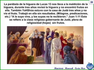 Ministerio Menorah Costa Rica
39
La parábola de la higuera de Lucas 13 nos lleva a la maldición de la
higuera, durante tres años revisó la higuera y no encontró frutos en
ella. También YaHShúa estuvo con la casa de Judá tres años y no
vio el fruto. Trabajó en ella sin resultados. (Milagros, predicaciones,
etc.) “A lo suyo vino, y los suyos no le recibieron.” Juan 1:11 Esto
se refiere a la clase religiosa gobernante de Judá, plena de
religiosidad (hojas) sin frutos.
 