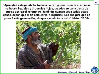 Ministerio Menorah Costa Rica
42
“Aprendan esta parábola, tomada de la higuera: cuando sus ramas
se hacen flexibles y brotan las hojas, ustedes se dan cuenta de
que se acerca el verano. Así también, cuando vean todas estas
cosas, sepan que el fin está cerca, a la puerta. Les aseguro que no
pasará esta generación, sin que suceda todo esto.” Mateo 23:32-
34
 
