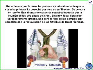 Ministerio Menorah Costa Rica
47
Recordemos que la cosecha postrera es más abundante que la
cosecha primera. La cosecha postrera es en Shavuot. Se celebra
en otoño. Esa abundante cosecha estará compuesta por la
reunión de las dos casas de Israel, Efraím y Judá. Será algo
verdaderamente grande. Eso será al final de los tiempos por
completo con la restauración de las 12 tribus de Israel reunidas.
 