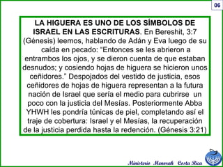 Ministerio Menorah Costa Rica
06
LA HIGUERA ES UNO DE LOS SÍMBOLOS DE
ISRAEL EN LAS ESCRITURAS. En Bereshit, 3:7
(Génesis) leemos, hablando de Adán y Eva luego de su
caída en pecado: “Entonces se les abrieron a
entrambos los ojos, y se dieron cuenta de que estaban
desnudos; y cosiendo hojas de higuera se hicieron unos
ceñidores.” Despojados del vestido de justicia, esos
ceñidores de hojas de higuera representan a la futura
nación de Israel que sería el medio para cubrirse un
poco con la justicia del Mesías. Posteriormente Abba
YHWH les pondría túnicas de piel, completando así el
traje de cobertura: Israel y el Mesías, la recuperación
de la justicia perdida hasta la redención. (Génesis 3:21)
 