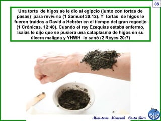 08
Una torta de higos se le dio al egipcio (junto con tortas de
pasas) para revivirlo (1 Samuel 30:12). Y tortas de higos le
fueron traídos a David a Hebrón en el tiempo del gran regocijo
(1 Crónicas. 12:40). Cuando el rey Ezequías estaba enfermo,
Isaías le dijo que se pusiera una cataplasma de higos en su
úlcera maligna y YHWH lo sanó (2 Reyes 20:7)
Ministerio Menorah Costa Rica
 