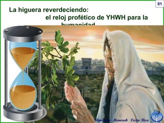 01
La higuera reverdeciendo:
el reloj profético de YHWH para la
humanidad.
Ministerio Menorah Costa Rica
 