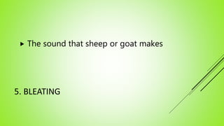 Zlateh the goat | PPTX