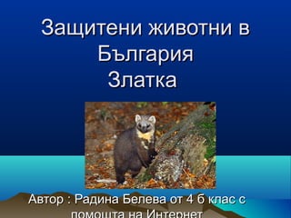 Защитени животни в
      България
       Златка




Автор : Радина Белева от 4 б клас с
 