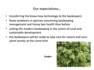 Our expectations…
• transferring the know-how technology to the beekeepers
• fewer problems in apiaries concerning beekeeping
management and honey bee health than before
• setting the modern beekeeping in the centre of rural and
sustainable development
• the beekeepers will be ready to take care for nature and earn
spare money at the same time
Linden
 
