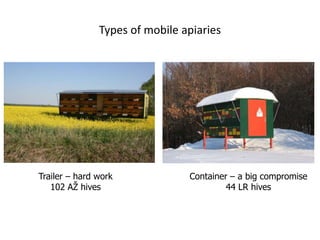 Types of mobile apiaries
Trailer – hard work
102 AŽ hives
Container – a big compromise
44 LR hives
 