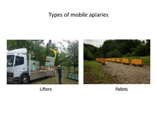 Types of mobile apiaries
Lifters Pallets
 