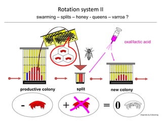productive colony
swarming – splits – honey - queens – varroa ?
split new colony
oxal/lactic acid
+- = 0
Rotation system II
Originally by O.Boecking
 