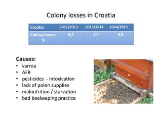 Croatia 2012/2013 2013/2014 2014/2015
Colony losses
%
9,5 7,7 9,8
Colony losses in Croatia
Causes:
• varroa
• AFB
• pesticides - intoxication
• lack of polen supplies
• malnutrition / starvation
• bad beekeeping practice
 