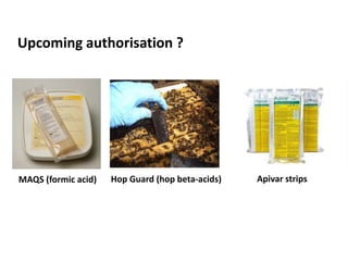 Upcoming authorisation ?
Hop Guard (hop beta-acids)MAQS (formic acid) Apivar strips
 