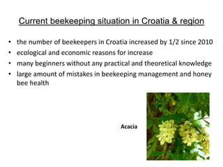 Current beekeeping situation in Croatia & region
• the number of beekeepers in Croatia increased by 1/2 since 2010
• ecological and economic reasons for increase
• many beginners without any practical and theoretical knowledge
• large amount of mistakes in beekeeping management and honey
bee health
Acacia
 
