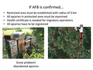 If AFB is confirmed…
X
• Restricted area must be established with radius of 3 km
• All apiaries in protected zone must be examined
• Health certificate is needed for migratory operations
• All apiaries have to be registered
Great problem!
Abandoned apiaries
 