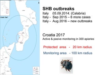 SHB outbreaks
Italy 05.09.2014. (Calabria)
Protected area - 20 km radius
Monitoring area - 100 km radius
Italy - Sep 2015 – 6 more cases
Italy - Aug 2016 – new outbreaks
Croatia 2017
Active & pasive monitoring in 300 apiaries
 