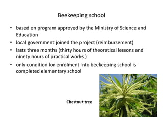 Beekeeping school
• based on program approved by the Ministry of Science and
Education
• local government joined the project (reimbursement)
• lasts three months (thirty hours of theoretical lessons and
ninety hours of practical works )
• only condition for enrolment into beekeeping school is
completed elementary school
Chestnut tree
 