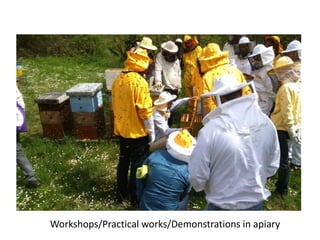 Workshops/Practical works/Demonstrations in apiary
 