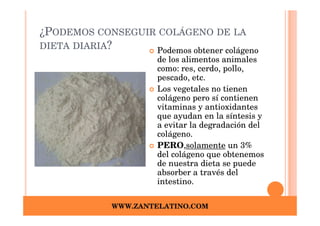 ¿PODEMOS CONSEGUIR COLÁGENO DE LA
DIETA DIARIA?     Podemos obtener colágeno
                      de los alimentos animales
                      como: res, cerdo, pollo,
                      pescado, etc.
                      Los vegetales no tienen
                      colágeno pero sí contienen
                      vitaminas y antioxidantes
                      que ayudan en la síntesis y
                      a evitar la degradación del
                      colágeno.
                      PERO,solamente un 3%
                      del colágeno que obtenemos
                      de nuestra dieta se puede
                      absorber a través del
                      intestino.

             WWW.ZANTELATINO.COM
 