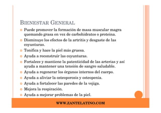 BIENESTAR GENERAL
 Puede promover la formación de masa muscular magra
 quemando grasa en vez de carbohidratos o proteina.
 Disminuye los efectos de la artritis y desgaste de las
 coyunturas.
 Tonifica y hace la piel más gruesa.
 Ayuda a reconstruir las coyunturas.
 Fortalece y mantiene la patenticidad de las arterias y así
 ayuda a mantener una tensión de sangre saludable.
 Ayuda a regenerar los órganos internos del cuerpo.
 Ayuda a aliviar la osteoporosis y osteopenia.
 Ayuda a fortalecer las paredes de la vejiga.
 Mejora la respiración.
 Ayuda a mejorar problemas de la piel.

                   WWW.ZANTELATINO.COM
 