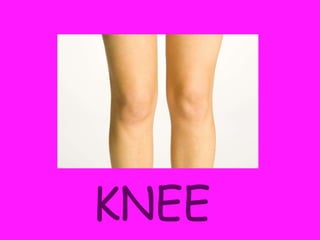 KNEE
 