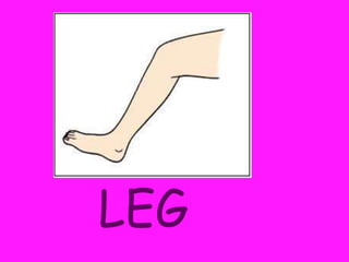 LE
LEG
 