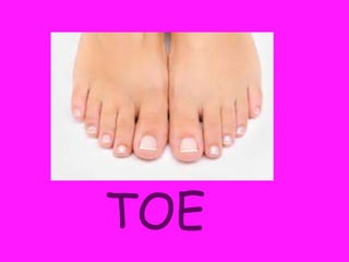 TOE
 