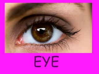 EYE
 