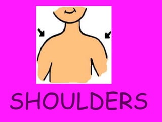 SHOULDERS
 