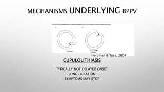 MECHANISMS UNDERLYING BPPV
CUPULOLITHIASIS
TYPICALLY NOT DELAYED ONSET
LONG DURATION
SYMPTOMS MAY STOP
Herdman & Tusa, 2004
 