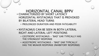 HORIZONTAL CANAL BPPV
• CHARACTERIZED BY SHORT LATENCY
HORIZONTAL NYSTAGMUS THAT IS PROVOKED
BY BILATERAL HEAD TURNS
• PROLONGED DURATION AND POOR FATIGABILITY
• NYSTAGMUS CAN BE SEEN IN BOTH LATERAL
RIGHT AND LATERAL LEFT POSITIONS
• GEOTROPIC NYSTAGMUS - “BAD” EAR TYPICALLY HAS
THE STRONGEST RESPONSE
• AGEOTROPIC NYSTAGMUS – “BAD” EAR TYPICALLY
HAS THE WEAKER RESPONSE (INHIBITORY RESPONSE)
 