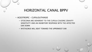 HORIZONTAL CANAL BPPV
• AGEOTROPIC – CUPULOLITHIASIS
• OTOCONIA ARE ADHERENT TO THE CUPULA CAUSING GRAVITY
SENSITIVITY AND AN INHIBITORY RESPONSE WITH THE AFFECTED
EAR DOWN
• NYSTAGMUS WILL BEAT TOWARD THE UPPERMOST EAR
 