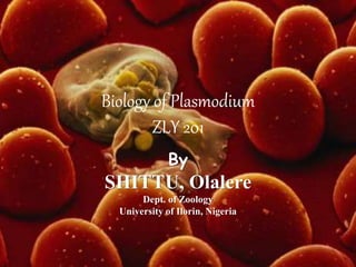 Biology of Plasmodium
ZLY 201
By
SHITTU, Olalere
Dept. of Zoology
University of Ilorin, Nigeria
 