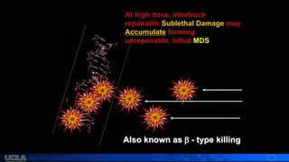 http://dmco.ucla.edu/McBride_Lab
WMcB2008
At high dose, intertrack
repairable Sublethal Damage may
Accumulate forming
unrepairable, lethal MDS
Also known as  - type killing
 