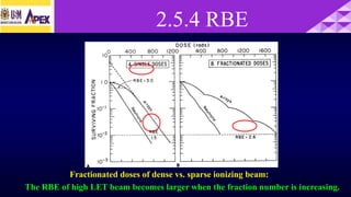 RBE is end-point dependent
Fractionated doses of dense vs. sparse ionizing beam:
The RBE of high LET beam becomes larger when the fraction number is increasing.
2.5.4 RBE
 