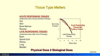 http://dmco.ucla.edu/McBride_Lab
WMcB2008
ACUTE RESPONDING TISSUES
(responses seen during standard therapy)
Gut
Skin
Bone Marrow
Mucosa
LATE RESPONDING TISSUES
(responses seen after end of therapy)
Brain
Spinal Cord
Kidney
Lung
Bladder
Tissue Type Matters
Dose (Gy)
Surviving
Fraction
2016128400
.01
.1
1
Late Responding
Tissues
Acute Responding
Tissues and
Many Tumors
Physical Dose = Biological Dose
 