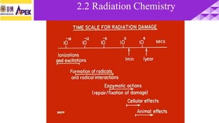 2.2 Radiation Chemistry
 