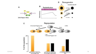 22/3/2017 Dr. Nik Noor Ashikin Bt Nik Ab Razak 38
 