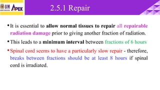 •It is essential to allow normal tissues to repair all repairable
radiation damage prior to giving another fraction of radiation.
•This leads to a minimum interval between fractions of 6 hours
•Spinal cord seems to have a particularly slow repair - therefore,
breaks between fractions should be at least 8 hours if spinal
cord is irradiated.
2.5.1 Repair
 