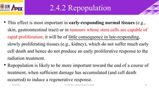 22/3/2017 Dr. Nik Noor Ashikin Bt Nik Ab Razak 45
• This effect is most important in early-responding normal tissues (e.g.,
skin, gastrointestinal tract) or in tumours whose stem cells are capable of
rapid proliferation; it will be of little consequence in late-responding,
slowly proliferating tissues (e.g., kidney), which do not suffer much early
cell death and hence do not produce an early proliferative response to the
radiation treatment.
• Repopulation is likely to be more important toward the end of a course of
treatment, when sufficient damage has accumulated (and cell death
occurred) to induce a regenerative response.
2.4.2 Repopulation
 