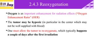 •Oxygen is an important enhancement for radiation effects (“Oxygen
Enhancement Ratio” (OER)
•The tumor may be hypoxic (in particular in the center which may
not be well supplied with blood)
•One must allow the tumor to re-oxygenate, which typically happens
a couple of days after the first irradiation
2.4.3 Reoxygenation
 