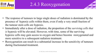 22/3/2017 Dr. Nik Noor Ashikin Bt Nik Ab Razak 50
• The response of tumours to large single doses of radiation is dominated by the
presence of hypoxic cells within them, even if only a very small fraction of
the tumour stem cells are hypoxic.
• Immediately after a dose of radiation, the proportion of the surviving cells that
is hypoxic will be elevated. However, with time, some of the surviving
hypoxic cells may gain access to oxygen and hence become reoxygenated and
more sensitive to a subsequent radiation treatment.
• Reoxygenation can result in a substantial increase in the sensitivity of tumours
during fractionated treatment.
2.4.3 Reoxygenation
 