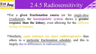 •For a given fractionation course (or for single-dose
irradiation), the haemopoietic system shows a greater
response than the kidney, even allowing for the different
timing of response.
•Similarly, some tumours are more radioresponsive than
others to a particular fractionation schedule, and this is
largely due to differences in radiosensitivity.
2.4.5 Radiosensitivity
 
