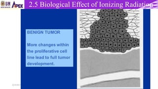 22/3/2017 Dr. Nik Noor Ashikin Bt Nik Ab Razak 67
2.5 Biological Effect of Ionizing Radiation
 