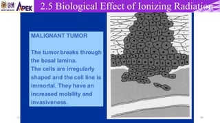 22/3/2017 Dr. Nik Noor Ashikin Bt Nik Ab Razak 68
2.5 Biological Effect of Ionizing Radiation
 