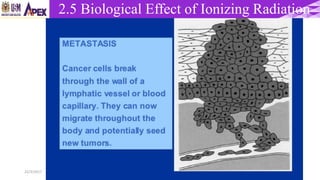 22/3/2017 Dr. Nik Noor Ashikin Bt Nik Ab Razak 69
2.5 Biological Effect of Ionizing Radiation
 