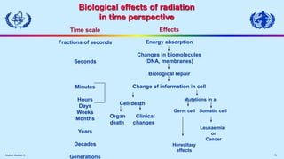 Module Medical IX. 70
Biological effects of radiation
in time perspective
Time scale
Fractions of seconds
Seconds
Minutes
Hours
Days
Weeks
Months
Years
Decades
Generations
Effects
Energy absorption
Changes in biomolecules
(DNA, membranes)
Biological repair
Change of information in cell
Cell death
Organ Clinical
death changes
Mutations in a
Germ cell Somatic cell
Leukaemia
or
Cancer
Hereditary
effects
 