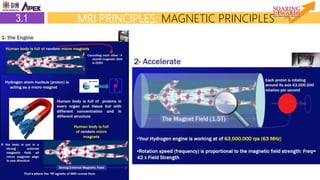 MRI | PPTX