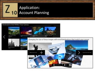 Application:  Account Planning  