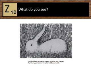 W What do you see?  