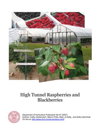 High Tunnel Raspberries and
       Blackberries


Department of Horticulture Publication No.47 (2007)
Authors: Cathy Heidenreich, Marvin Pritts, Mary Jo Kelly., and Kathy Demchak
On line at: http://www.fruit.cornell.edu/berry.html
 